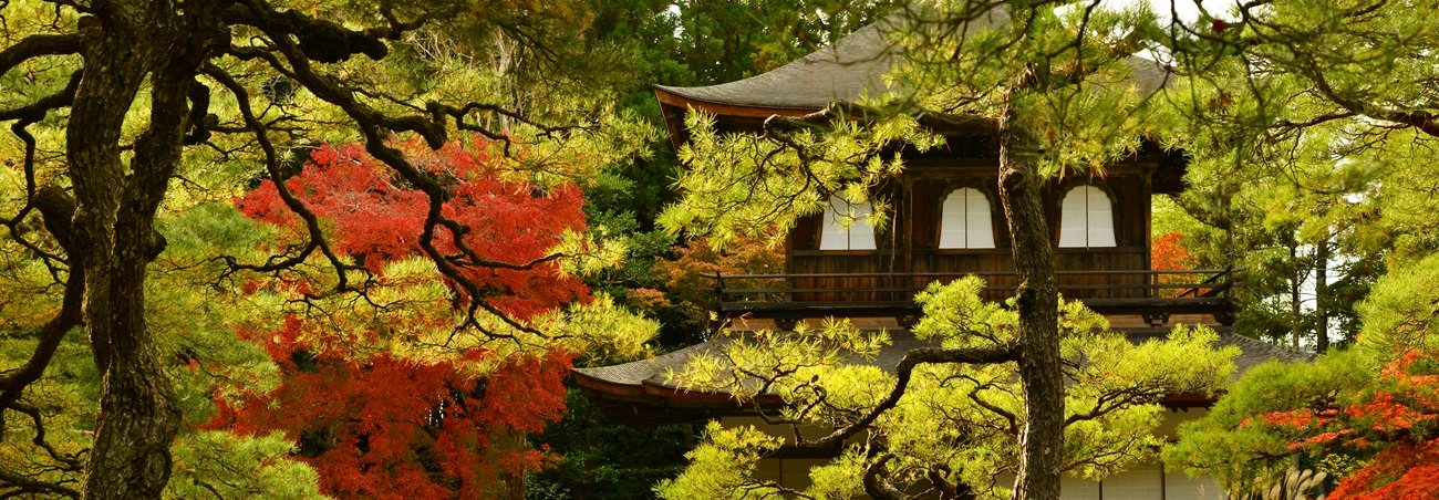 Japanese temple among green forest and red foliage