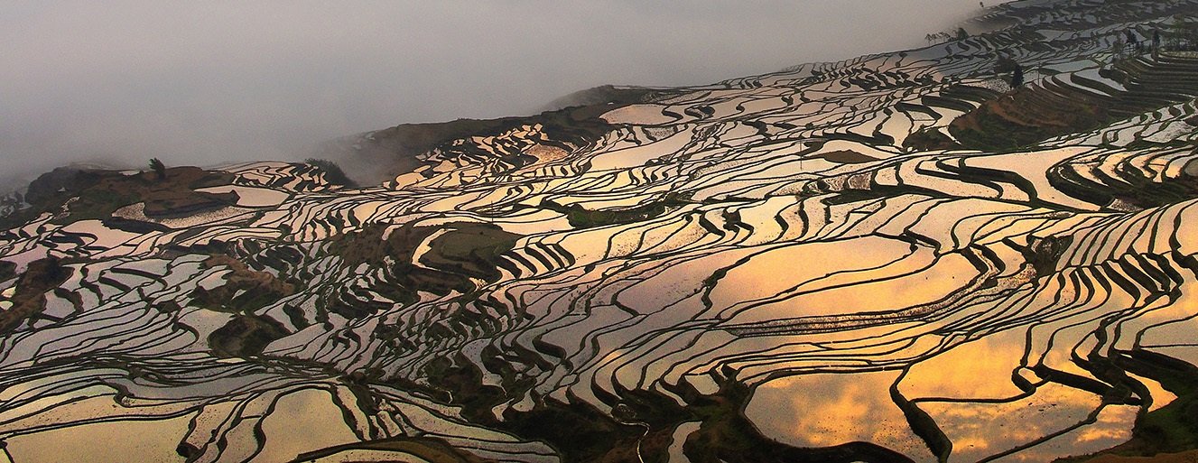 Sunlight reflected across rice terraces in China