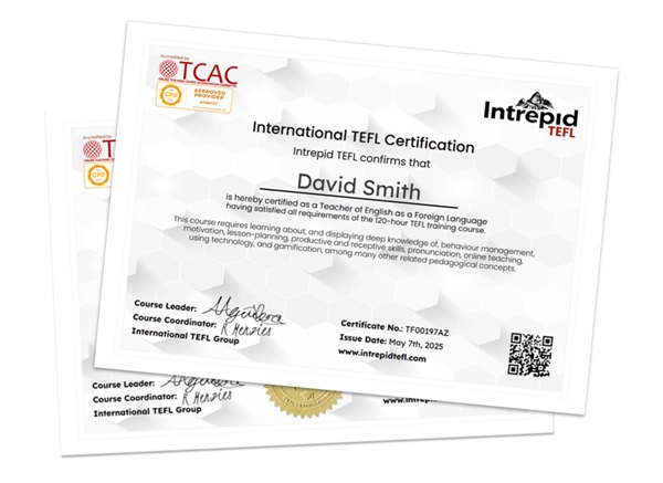 Intrepid TEFL certificate bundle